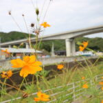 秋を感じる写真